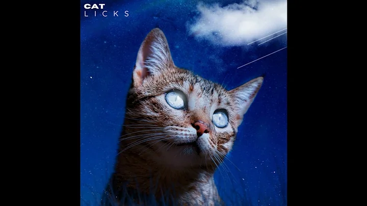 Cat Licks  - Synth wave x Memphis Earline Funk x G...