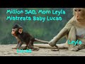 Million SAD..!! Mom Leyla Mistreats Her Baby Lucas Very Strongly, Sad To Watch This Video