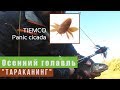 Осенний голавль. "Тараканинг" [TIEMCO Panic cicada]