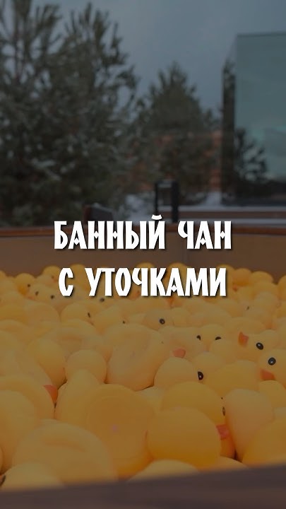Новое наполнение для БАННОГО ЧАНА 🦆 - YouTube