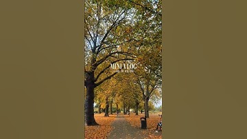 Autumn vibes 🍁🍂❤️ #shorts #autumn #adayinmylife  #youtubeshorts