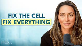 The Cellular Health Problem Behind Hormones, Energy & Disease (how to fix it) l Jessica Kane Burman Net Worth