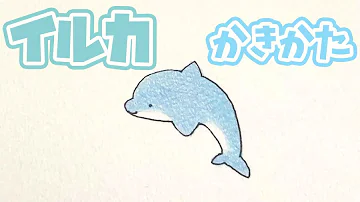 海の生き物 シロイルカの描き方 Mp3