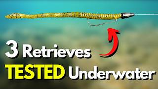 3 Worm Retrieves Put to the Test Underwater (Which Is Most Natural?)