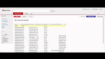 Building an Online Database Form with Ragic