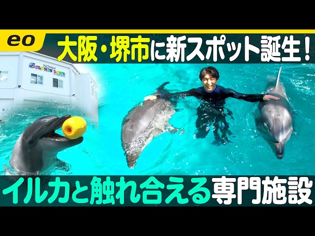大阪・堺おでかけ】イルカと触れ合える都市型専門施設がオープン