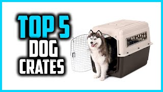 ✅Top 5 Best Dog Crates in Every Type in 2024