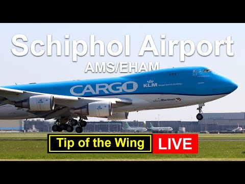 🔴 Live Plane-spotting; Amsterdam Airport #11 30-6-2025 (NL/ENG)