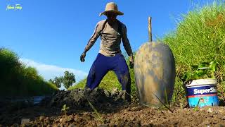 Looks how it works! Underground pit fishing trap - Clay pot