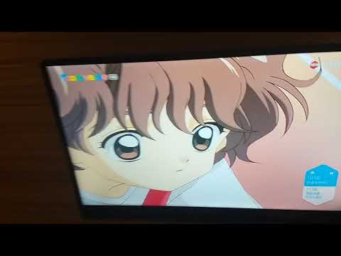 수학여행 때 찍은 카드캡터 체리 레전드(?) 영상