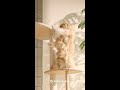 あったかハイム 猫編① #shorts #セキスイハイム