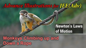 Adv Illustrations – Monkeys Climbing up and Down a Rope | Newton