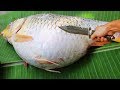 Amazing Cutting Fish - Processing Big Harvest Season 2020 (#1)