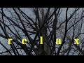 【10 hours relax】 Spiritual ambient music / Tree music / Birds sound