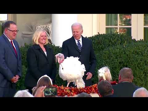 Biden pardons turkeys ahead of Thanksgiving holiday