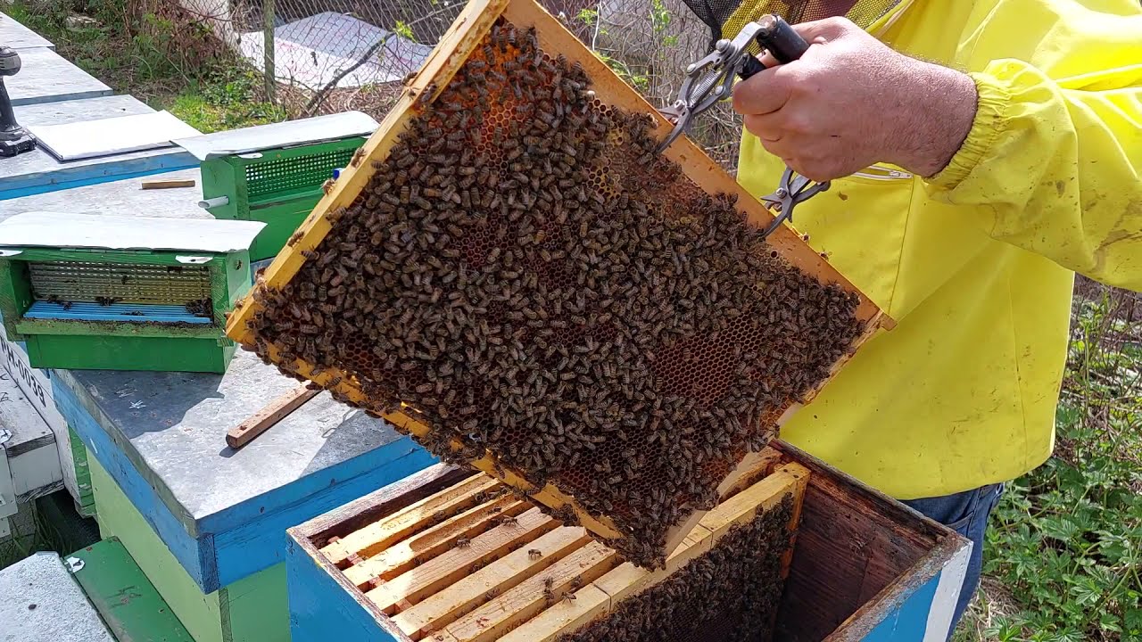 1135. CUM PREGATESC DE CULES O FAMILIE