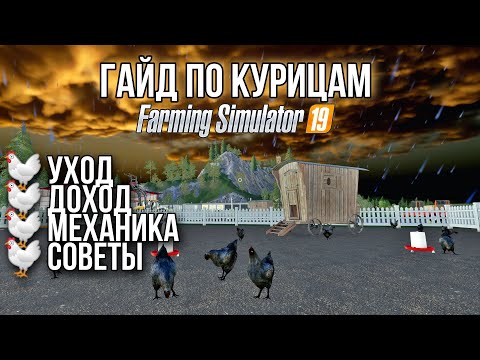 Видео: Безопасна ли курица Foster Farms?