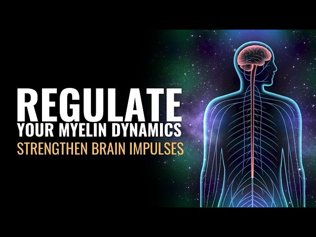 Multiple Sclerosis | Regulate Your Myelin Dynamics | Strengthen Brain Impulses | Heal Spinal Nerves class=
