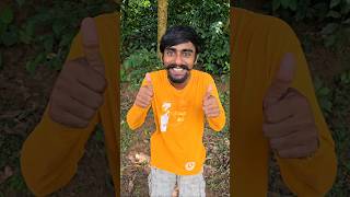 Pick The Perfect Slipper Color