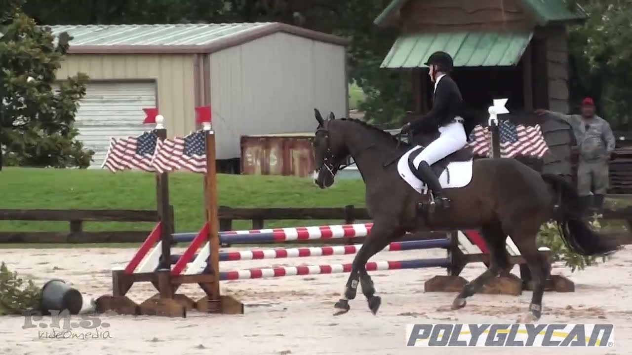 Brenda Sheets & Inigo ENF Texas Rose Horse Trials May 2024
