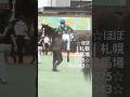 ☆ほぼ札幌競馬場2025☆No.043☆7月26日.札幌.10R☆ #horse #サラブレッド #馬 #競馬場 #札幌競馬場