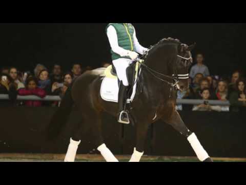 Vidéo: Cheval lipizzan