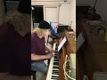 More than words by Extreme Piano by Enrique Welch #extreme #pianomusic #piano #viralshort