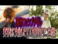 【ゆっくり解説】実写化に失敗した大人気漫画・アニメ3選