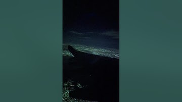 never let u go - Sigurd K & miint (official visualizer)