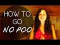 4 years No-Poo: How To Go No Poo, My Experience, And FAQ | 40BelowFruity