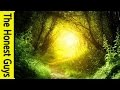 Guided meditation for healing  experience the pure loving energy of the universe