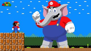 King Rabbit Mario Vs The Giant Elephant Mario Maze