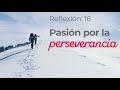 Mi mejor consejo sobre la perseverancia en la vida | Mensaje motivacional 16