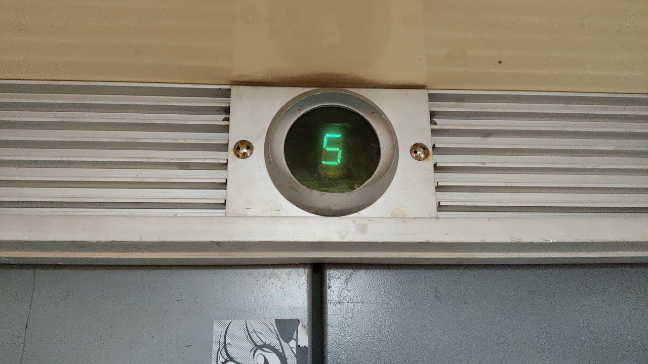 [ИВ-12] ЛИФТ ЩЛЗ ~80-Х-90-Х ГГ В ДОМЕ 2002 ГОДА ПОСТРОЙКИ (ДОЛГОПРУДНЫЙ, ПРОСПЕКТ ПАЦАЕВА 7К2)