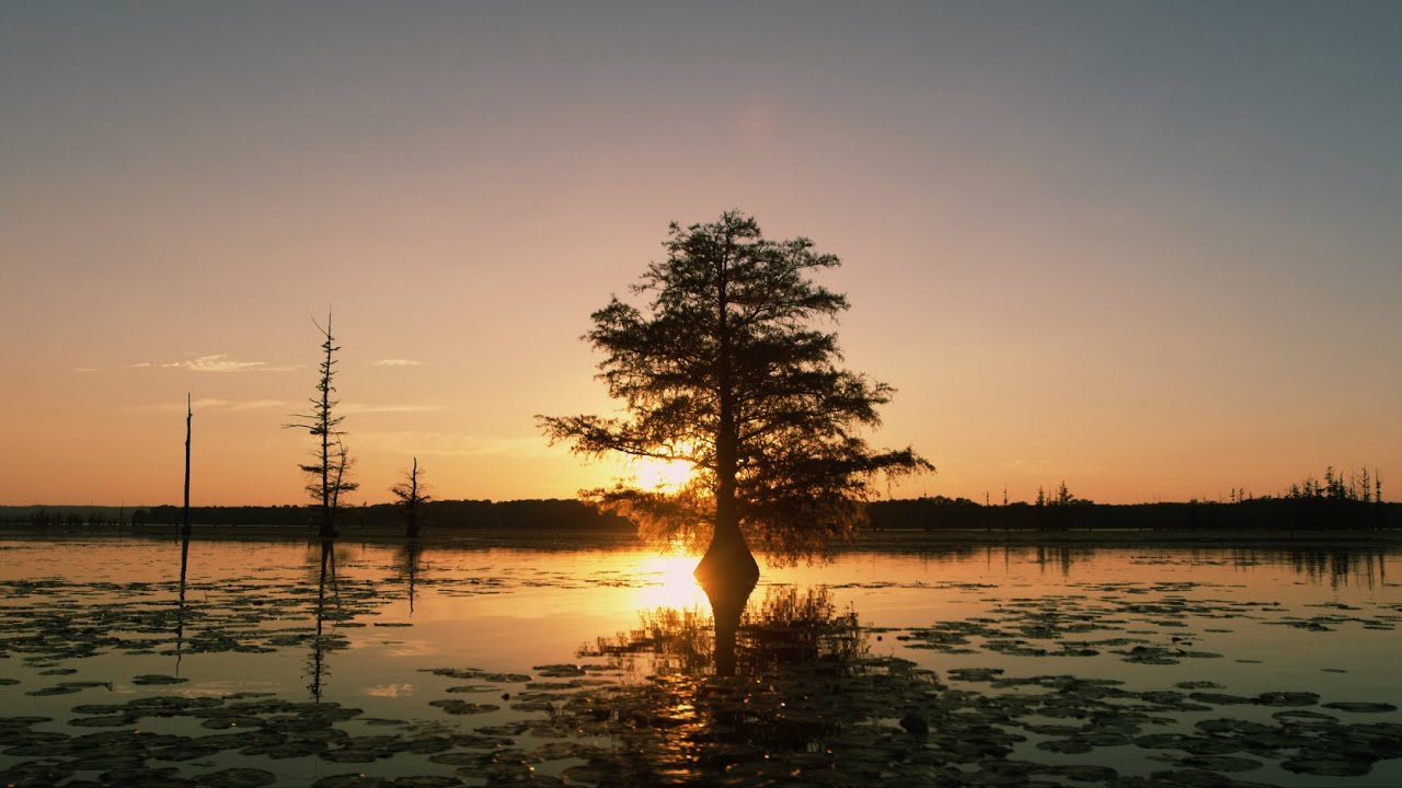 arkansas state us news A Century of Conservation