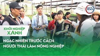 Ngạc nhiên trước cách người Thái làm nông nghiệp | Khởi Nghiệp Xanh