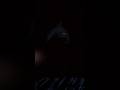 bro just wanted the flashlight#animalcompany #vr #fun