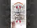 sanvariya Seth ki Jay Ho sanvariya Seth ki bhakti Jo karta hai usi ki manokamna purn hoti hai