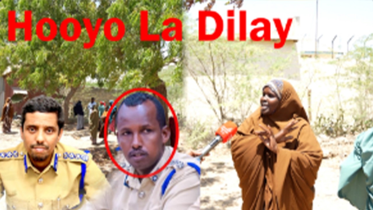 “Maamulka Taliska Booliska Degmada Hiliwaa iyo ganacsade Soomaaliyeed ayaa xoog kula wareegay dhul
