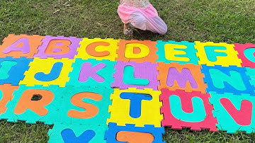 ABC scavenger hunt adventure game | ABC search in the park | learn ABC with Puzzle | ABC song