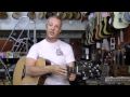 Breedlove sc25 custom shop wolfe guitars