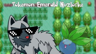 Pokemon Emerald Nuzlocke - Episode 17 - Training the scrubs