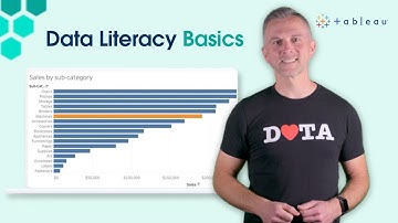 Data Literacy Basics You Can Use Today