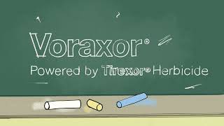 Start with a clean slate. Voraxor® herbicide | BASF