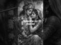 "radha krishna song vibe"