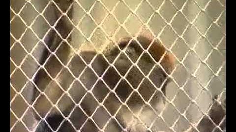 Công viên nước Củ Chi 2