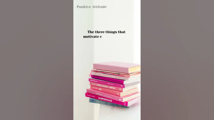 || Daniel Pink Motivation || Drive: The Surprising Truth About What Motivates Us