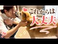 ついにこの季節がやってきてしまった・・