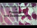 Osmosis and Cell Interaction Quiz