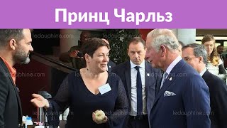 Настоящая сказка: история любви Кейт Миддлтон и принца Уильяма Настоящая сказка: история любви Кейт Миддлтон и принца Уильяма